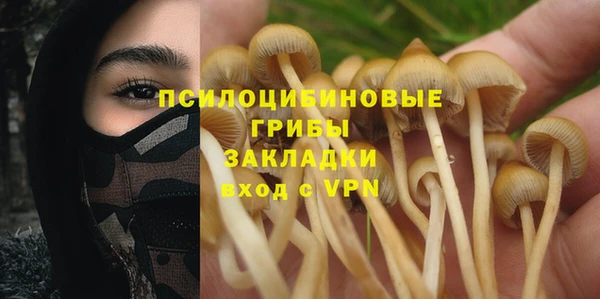 дурь Беломорск
