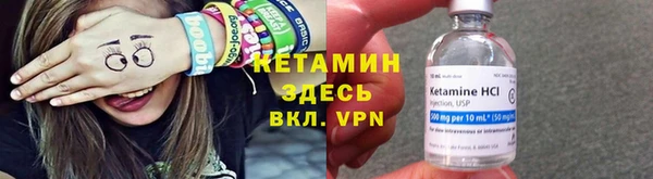 прущие грибы Белоозёрский
