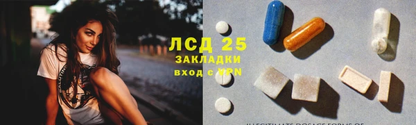 прущие грибы Белоозёрский