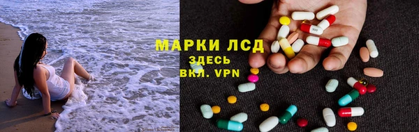 прущие грибы Белоозёрский