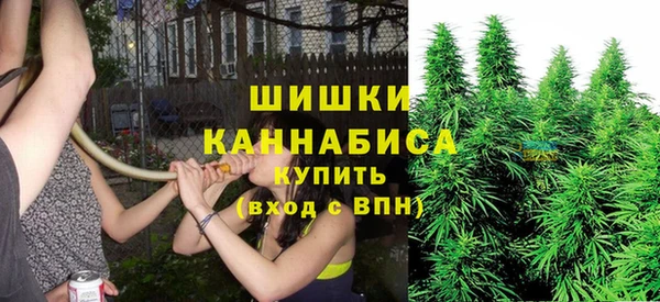 прущие грибы Белоозёрский