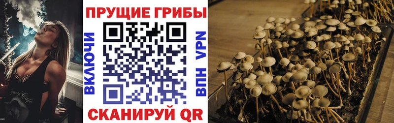 закладки omg вход Псилоцибиновые грибы мухоморы Верхний Тагил